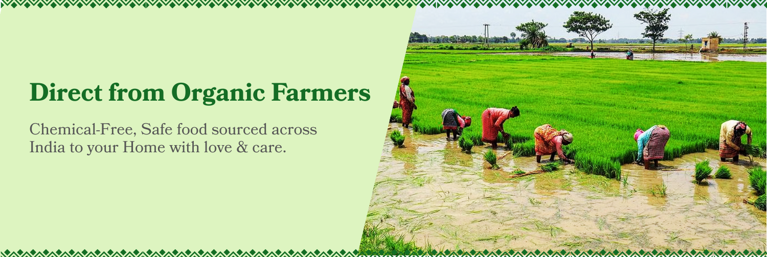 1751972478_686cfa7e14df8