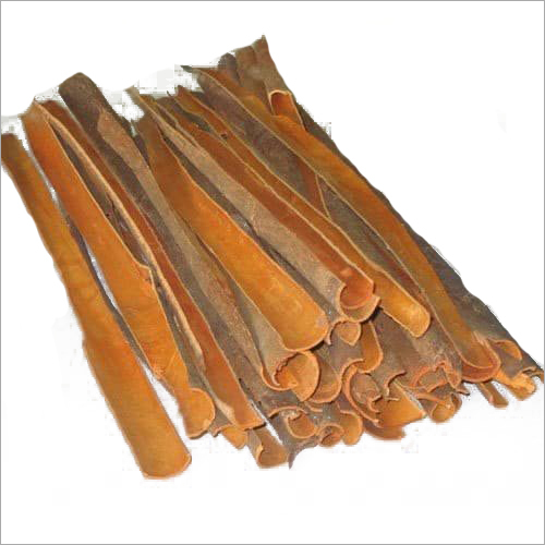 Split cassia
